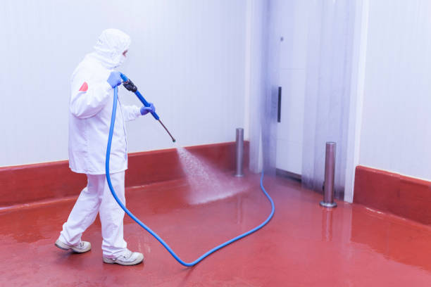 Best Patio and Deck Pressure Washing  in Rantoul, IL
